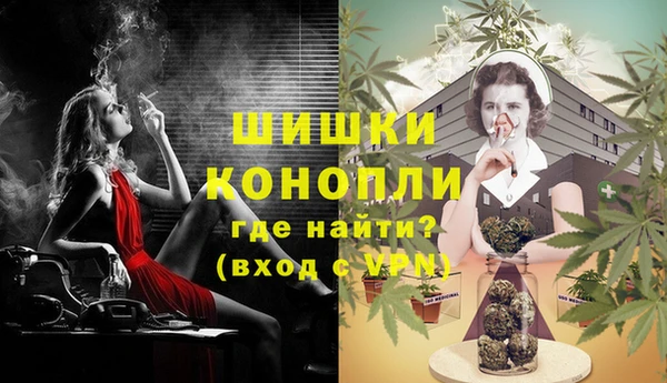 ГАЛЛЮЦИНОГЕННЫЕ ГРИБЫ Пестово